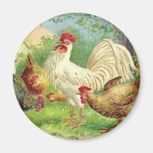 Vintage Country Rooster and Chickens Magnet