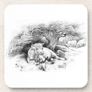 Vintage Cow and Cat Sketch Coaster