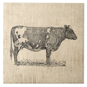 Vintage Cow Art Illustration w/ Script Background Tile