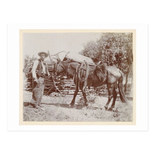 Vintage Cowboy 1900 Postcard