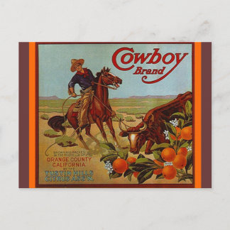 Vintage Cowboy Brand Fruit steer cattle Postcards