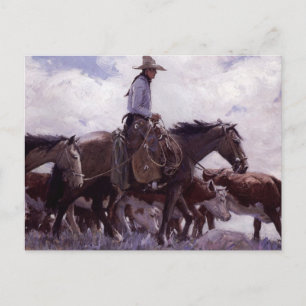 Vintage Cowboy with His Herd of Cattle by Koerner Postcard