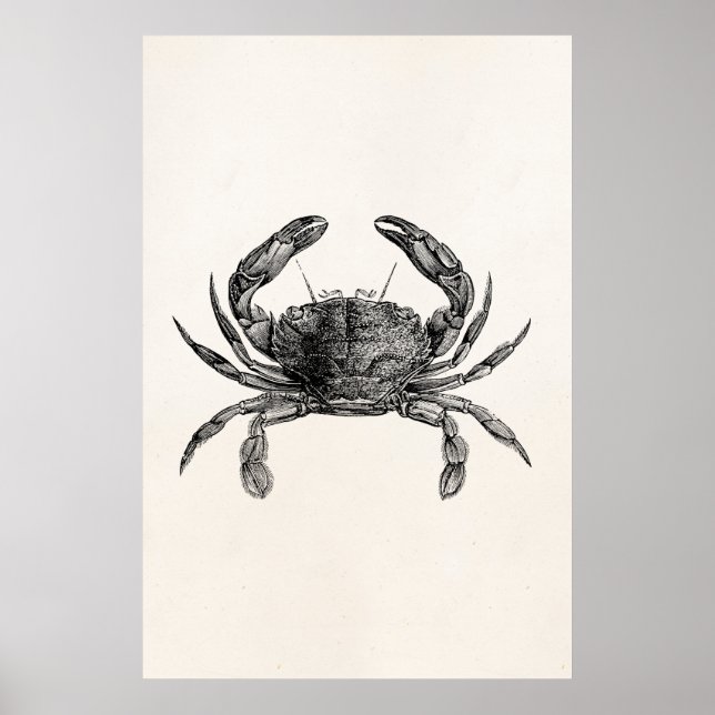 Vintage Crab Antique Crabs Personalized Template Poster (Front)