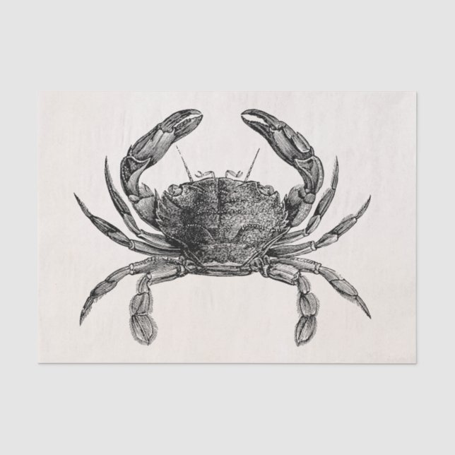 Vintage Crab Antique Crabs Personalized Template Tissue Paper (Front)