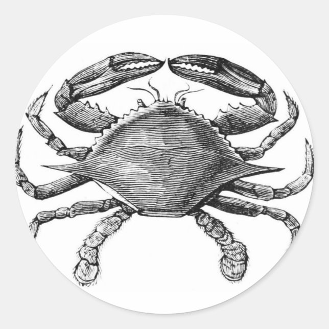 Vintage Crab Drawing Classic Round Sticker (Front)