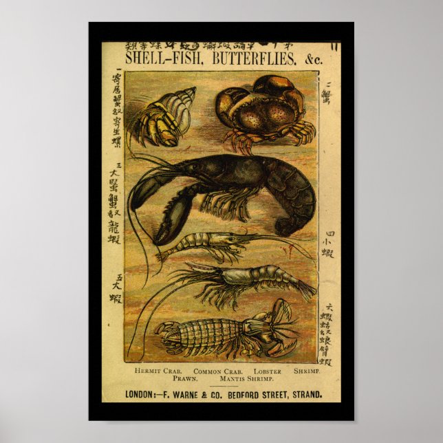 Vintage Crab Lobster Natural History Print (Front)