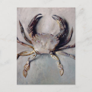 Vintage Crab Painting Postcard