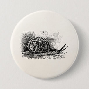 Vintage Crawling Snail Antique Template 3 Inch Round Button