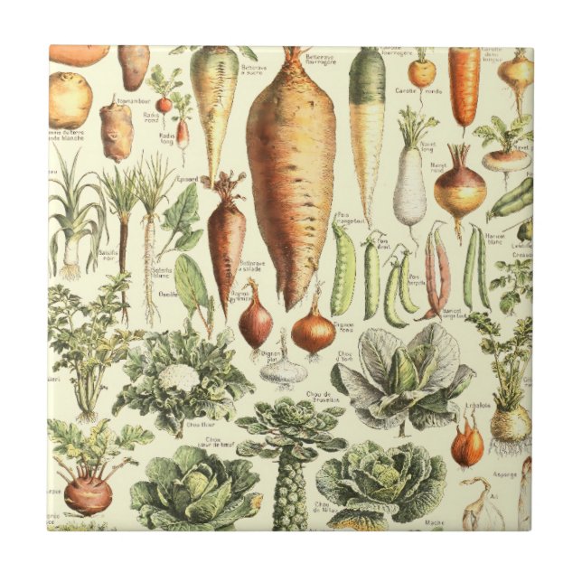 Vintage Cream Vegetables Pattern Tile (Front)