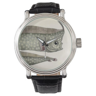 Vintage Crested Oarfish Fish, Marine Aquatic Life Watch