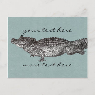Vintage Crocodile Post Card