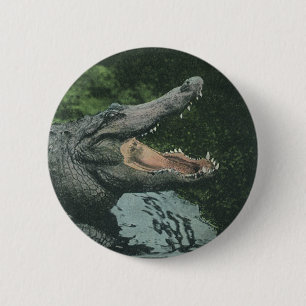 Vintage Crocodile Reptiles, Marine Animal Life 2 Inch Round Button