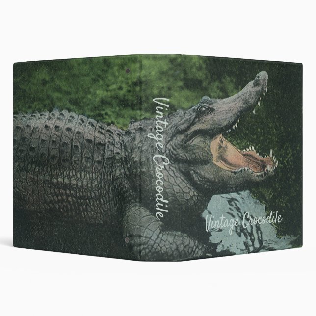 Vintage Crocodile Reptiles, Marine Animal Life Binder (Background)