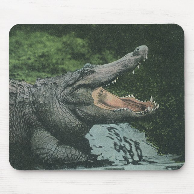 Vintage Crocodile Reptiles, Marine Animal Life Mouse Pad (Front)