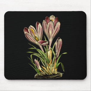 Vintage Crocus Flower Botanical Plants For Men And Mouse Pad