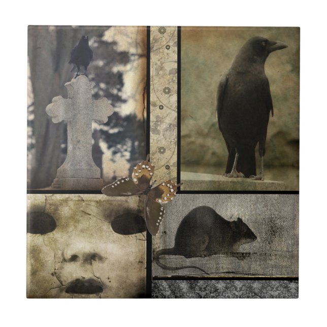 Vintage Crow Oddities Tile (Front)