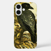 Vintage Crow Perched on a branch Theo van Hoytema