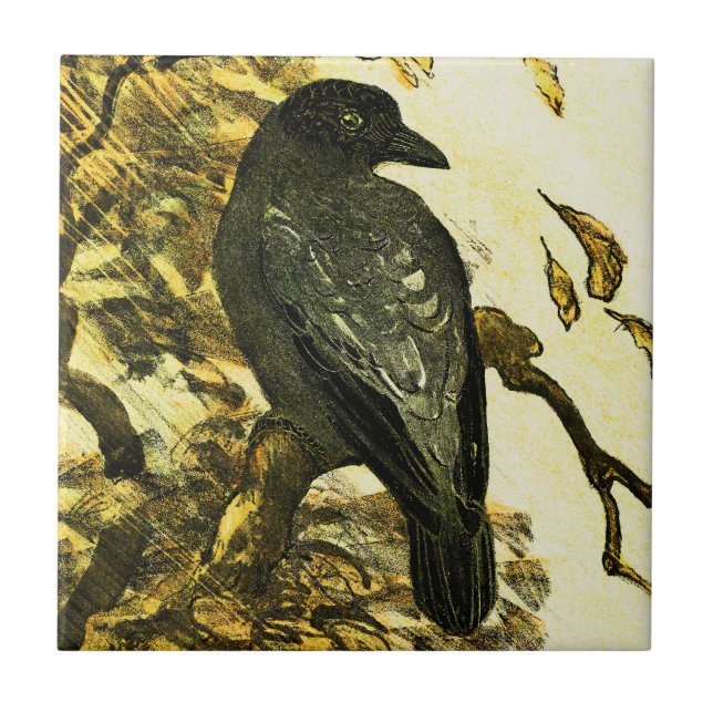 Vintage Crow Perched on a branch Theo van Hoytema Tile (Front)