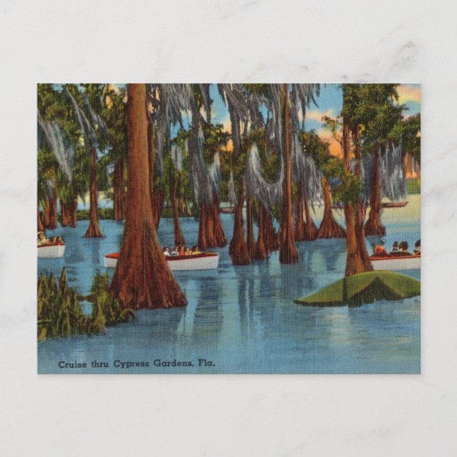 Vintage, Cruise Cyprus Gardens, Florida Postcard (Front)