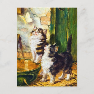 Vintage Curious Kittens Butterfly Cat Art Postcard