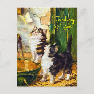 Vintage Curious Kittens Butterfly Thinking of You Postcard