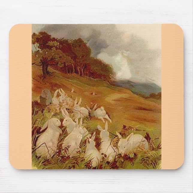 Vintage Cute Animal Easter  Mouse Pad (Front)