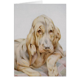 Vintage Cute Bloodhounds, Puppy Dogs by EJ Detmold