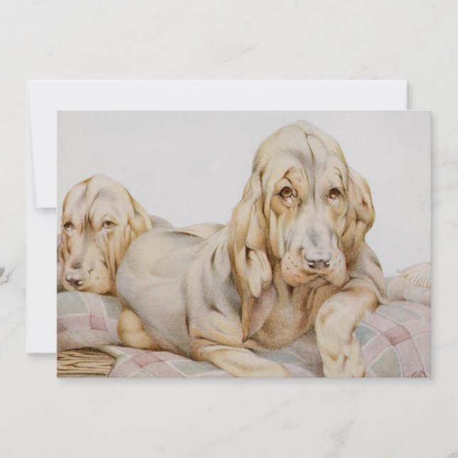 Vintage Cute Bloodhounds, Puppy Dogs by EJ Detmold (Front)