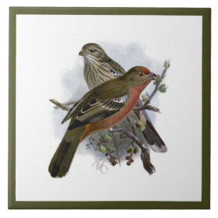 Vintage Cute Blue Colourful Bird and Foliage Tile