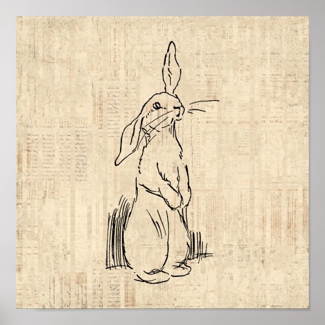 Vintage Cute Bunny Rabbit Art Script Background Poster (Front)