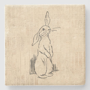 Vintage Cute Bunny Rabbit Art Script Background Stone Coaster
