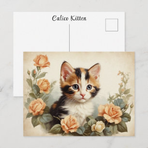Vintage Cute Calico Kitten Portrait Flowers Sweet  Postcard