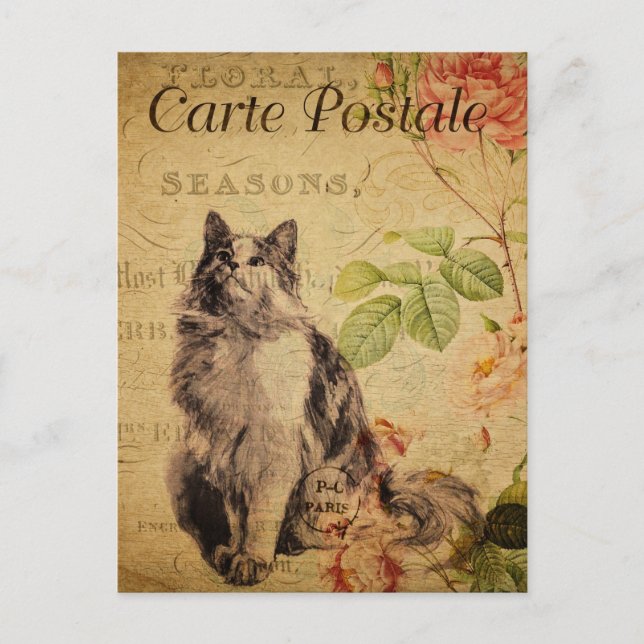Vintage Cute Cat Floral Flowers French Postcard (Front)