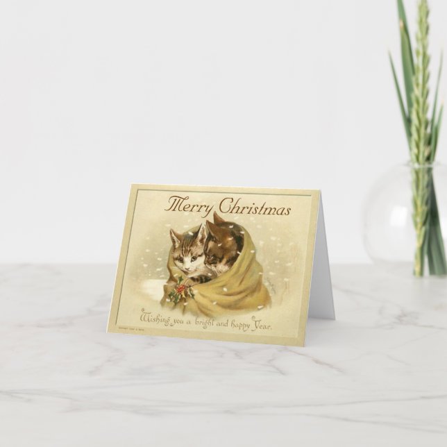 Vintage Cute Cats  Christmas Card (Front)