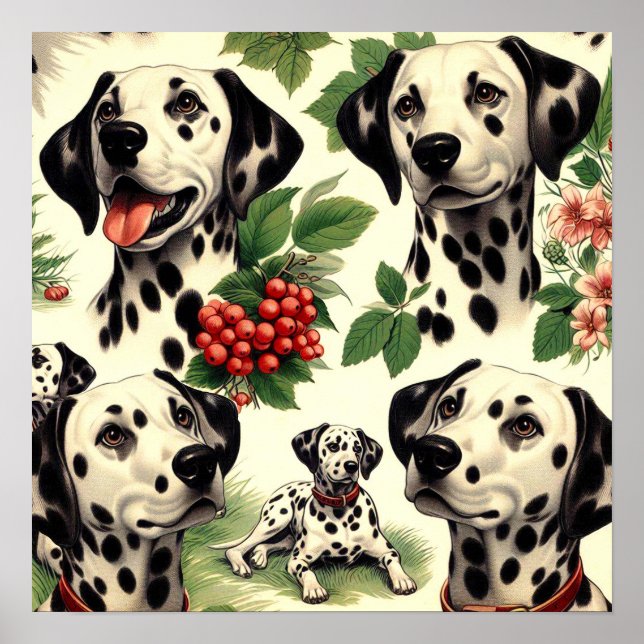 Vintage Cute Dalmatian Illustration Poster (Front)