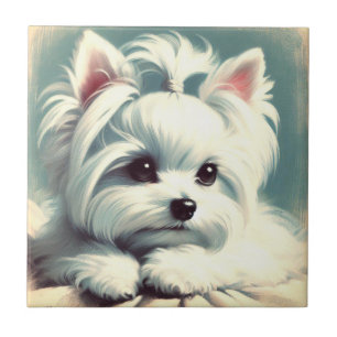 Vintage Cute Maltese Painting Tile