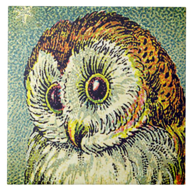 Vintage cute owl illustration tile (Front)