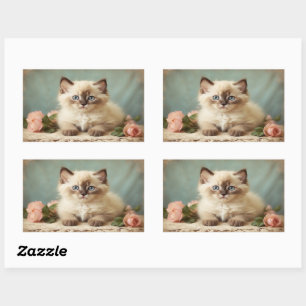 Vintage Cute Persian Ragdoll Kitten Cat Portrait Sticker