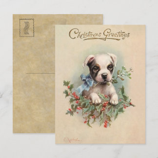 Vintage Cute Puppy Christmas greetings Postcard