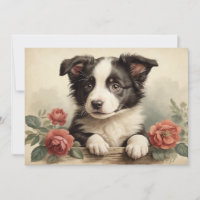 Vintage Cute Puppy Portrait Border Collie Rose Dog