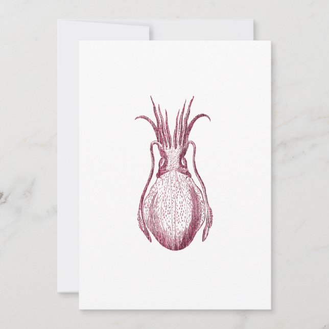 Vintage Cuttlefish Illustration Pattern (Front)
