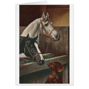 Vintage - Dachshund Visits Horses,
