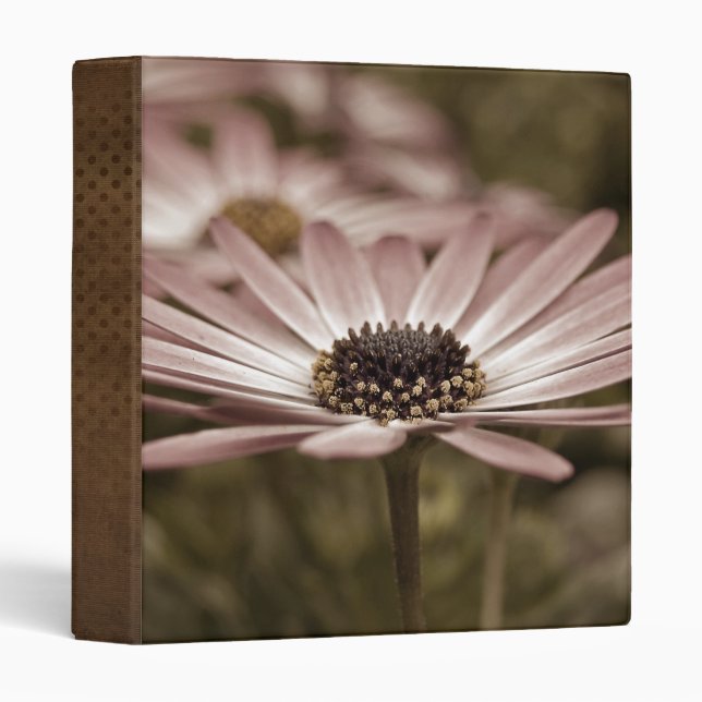 Vintage Daisy Binder (Front/Spine)