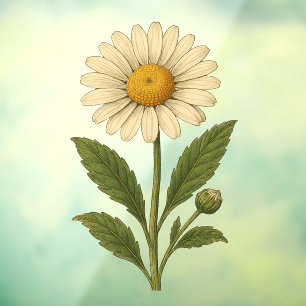 Vintage Daisy Window Cling
