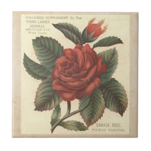Vintage Damask Red Rose Tile/Trivet Tile