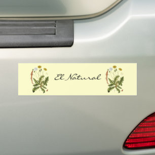 Vintage Dandelion Illustration Bumper Sticker