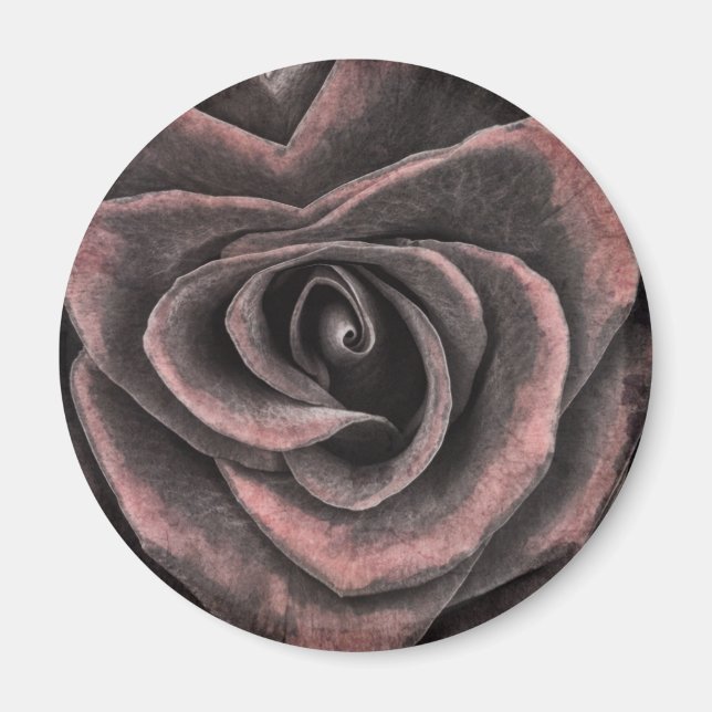 Vintage Dark Purple Rose Art Magnet (Front)