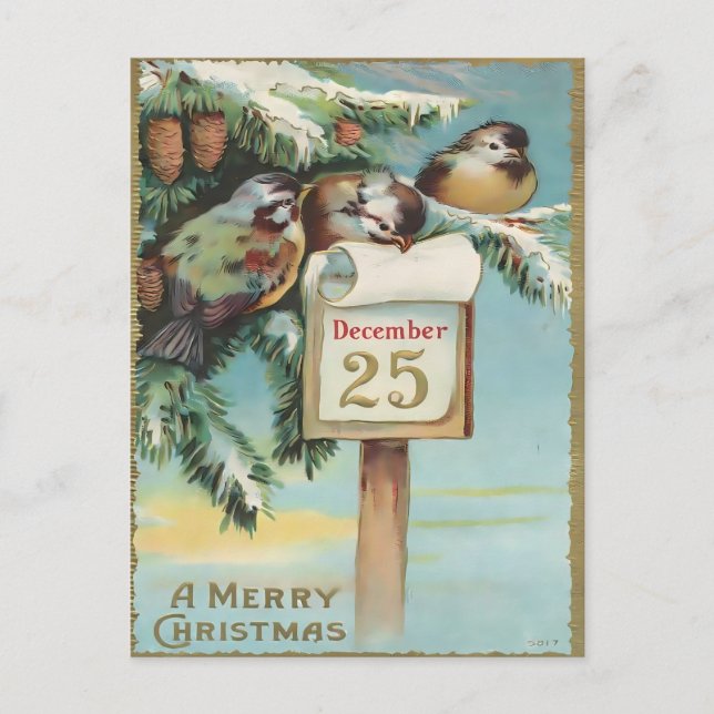 Vintage December 25th Birds & Pine Christmas Postcard (Front)