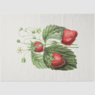 Vintage Decoupage Strawberry Tissue Paper