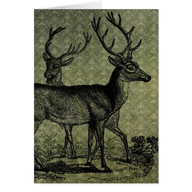 Vintage Deer (Front)